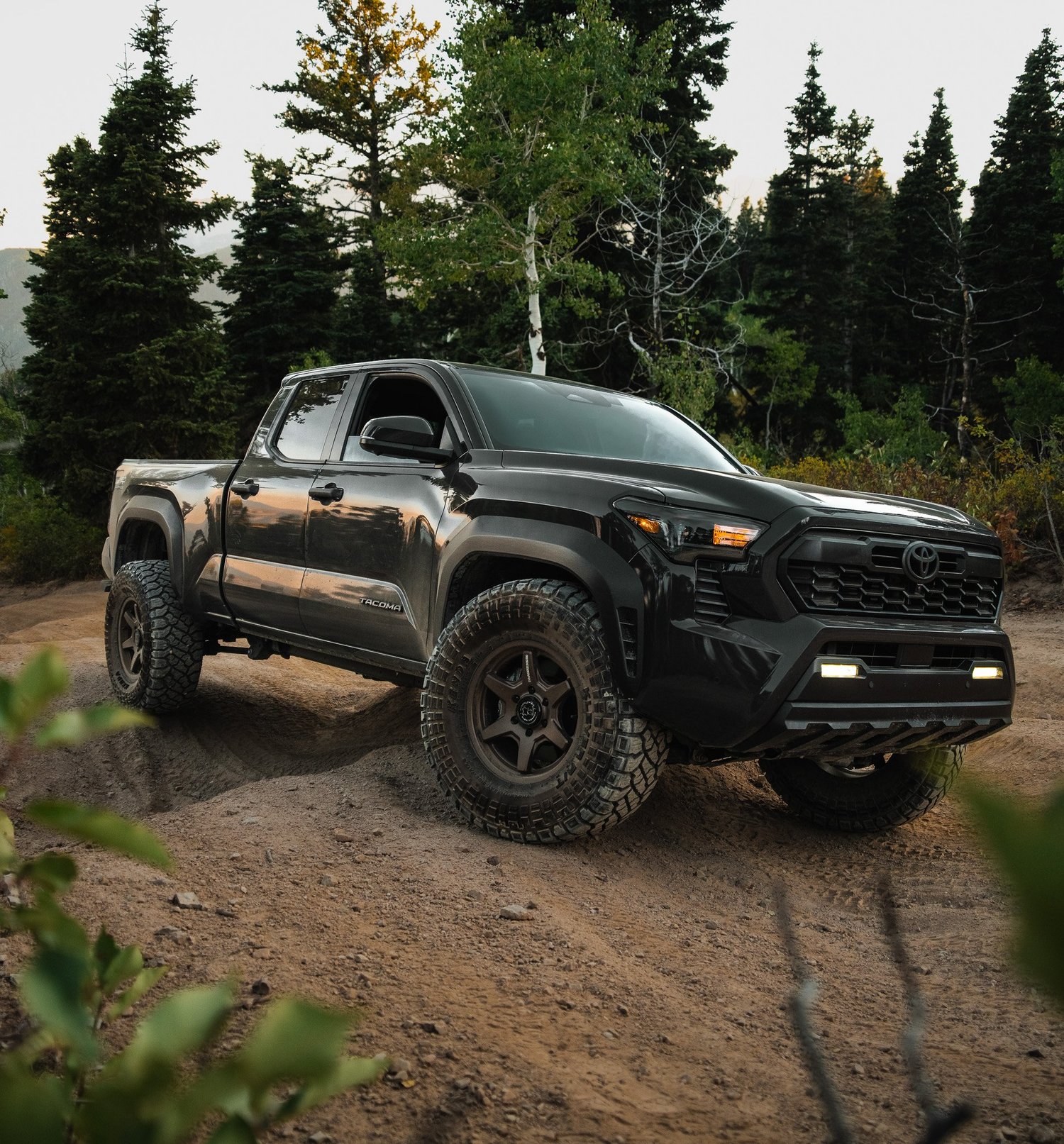 Desert trail